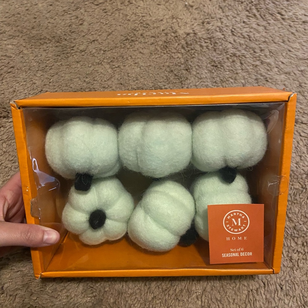 Martha Stewart Home Pumpkin Decor Set